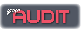 Audit