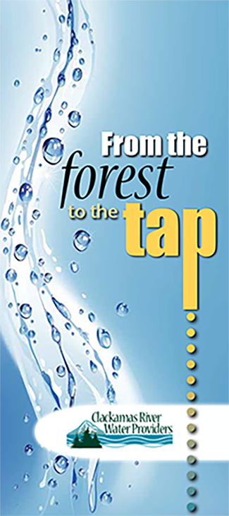 from the forest to the tap