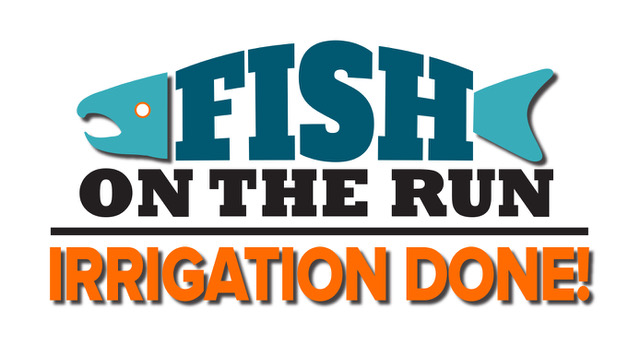 Fish Logo-B